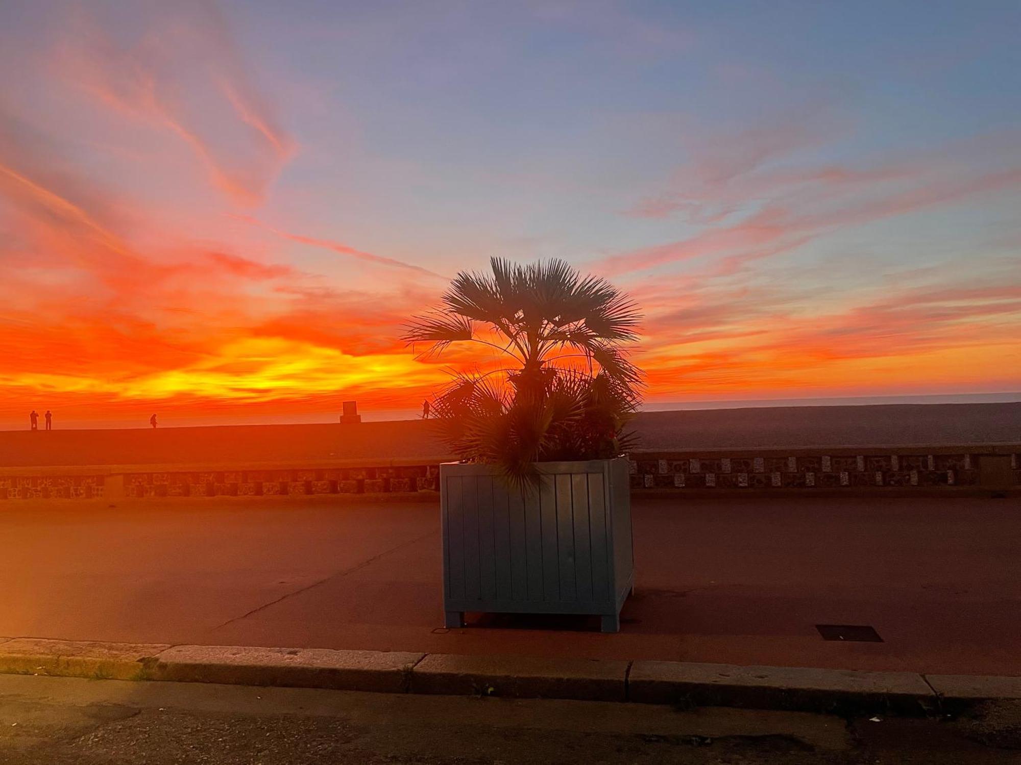 Petit Nid Douillet Appartement Dieppe Buitenkant foto